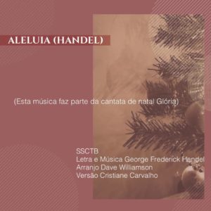 A Alegria do Natal - Vocalis